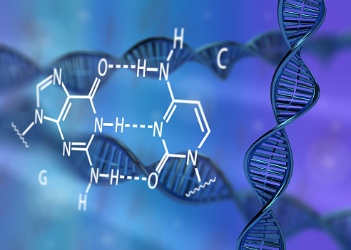 DNA molecule double helix GC base pair 3D rendering illustration