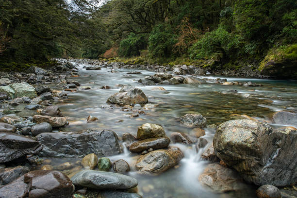 istock Flowing river in Haast Pass in the wilderness 1077428892