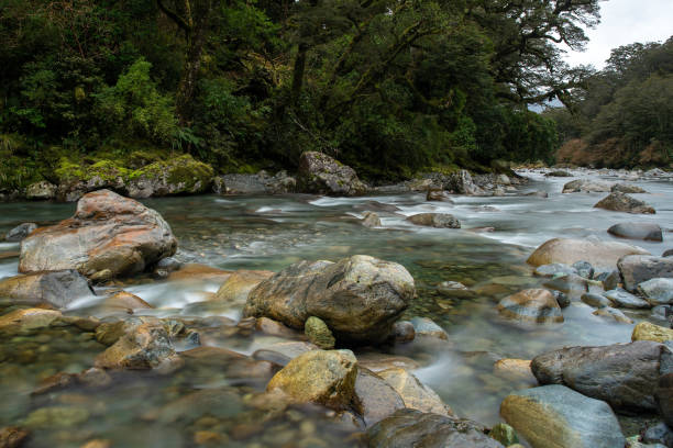 istock Flowing river in Haast Pass in the wilderness 1077430232