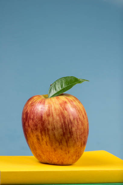 istock Apple fruit on top of a book stack, on the back of school classes. 1077431724