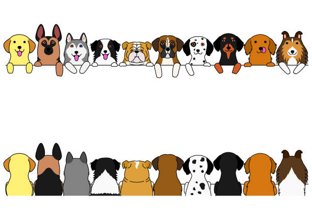 dogs border set dogs border set, large dogs front side and back side dog borders stock illustrations