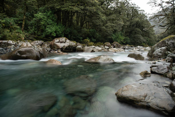 istock Flowing river in Haast Pass in the wilderness 1077435152