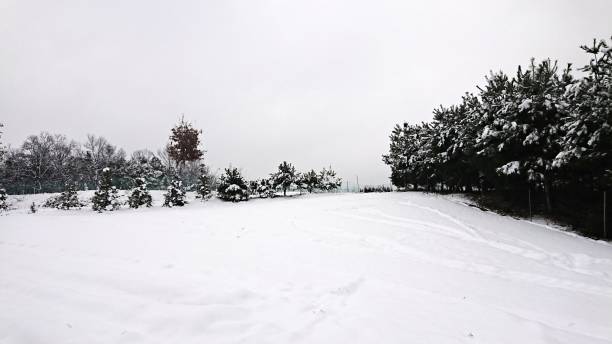istock A snowy country road 1077444624