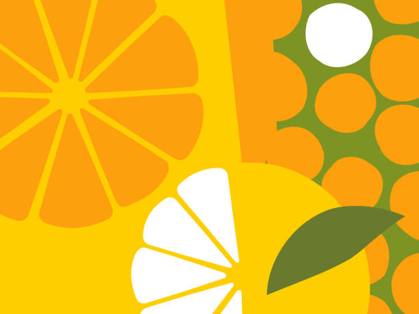 ilustrações de stock, clip art, desenhos animados e ícones de abstract fruit design in flat cut out style. oranges and orange sections. - orange background