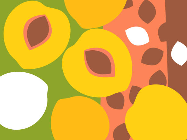 ilustraciones, imágenes clip art, dibujos animados e iconos de stock de resumen diseño de fruta plana corte estilo. durazno y melocotónes hoyos y espacio negativo. - nectarine peaches peach abstract