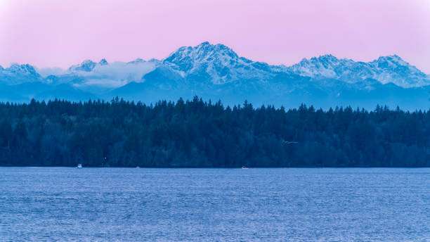 Pink Skies Over The Olympics Brothers Mountains, Olympics, Over Puget Sound olympic peninsula photos stock pictures, royalty-free photos & images