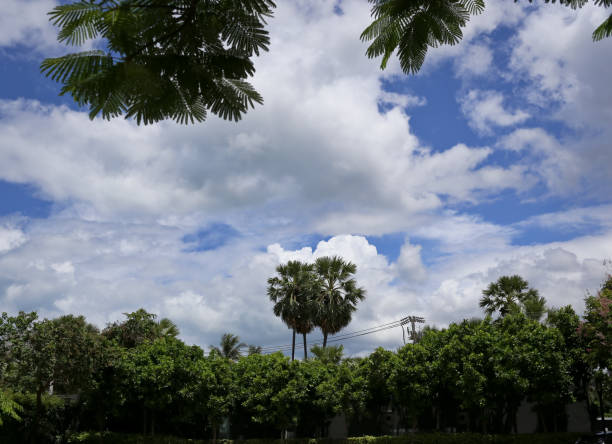 istock landscape view from the garden 1077467608