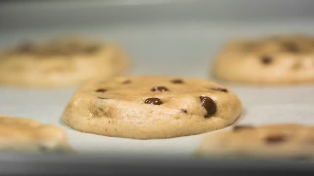Chocolate Chip Cookies Baking in the Oven Time Lapse