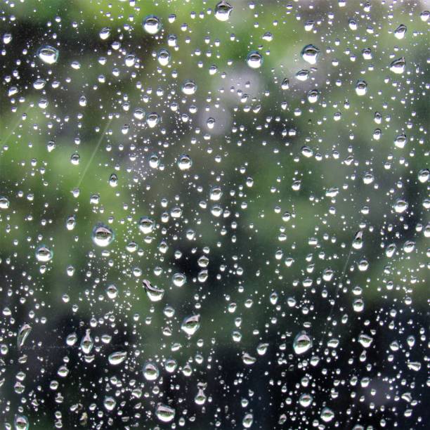 Various backgrounds such as: dew drops on grass, moss, moss on lava rocks, lava rocks, sand, grass, raindrops on car window and waves splashing against lava rocks diversos orígenes tales como: gotas de rocío sobre las hojas de hierba, musgo en la pared de roca de lava, cerca de moss, cerca de la arena al atardecer, las hojas de hierba luz de la mañana w, roca volcánica, musgo pared, lluvia cae sobre la ventana d