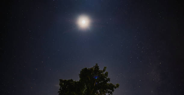 istock Moon shine in the night sky with star over tree 1077478100