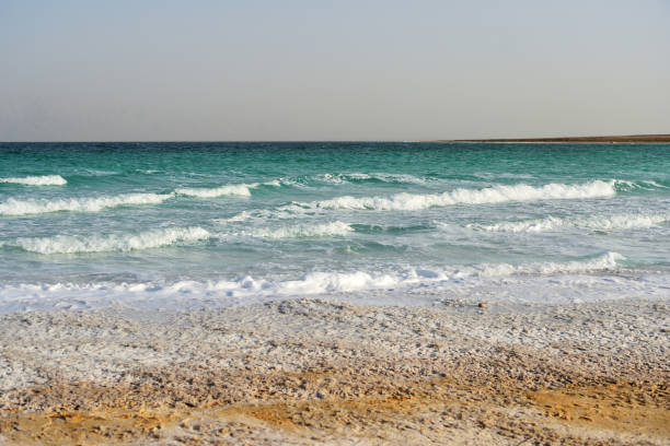 istock Dead Sea seashore in the evening in cloudy weather 1077481570