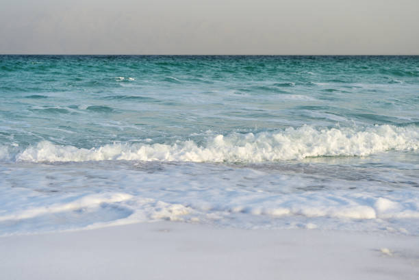 istock Dead Sea seashore in the evening in cloudy weather 1077481574