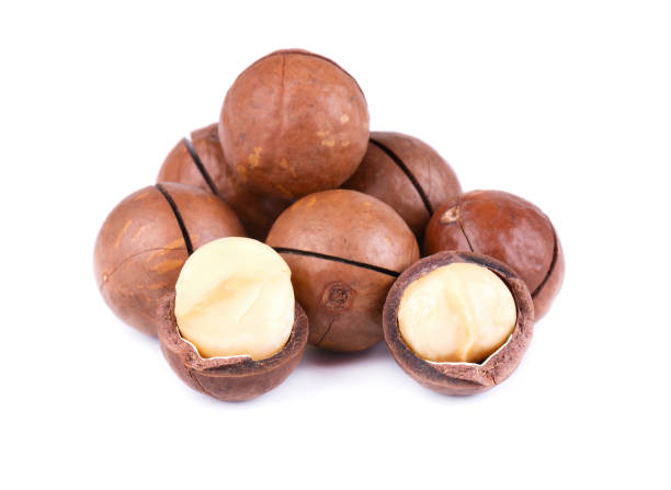 istock Macadamia nuts, isolated on white background. Shelled and unshelled macadamia. 1077487900