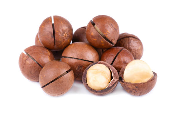 istock Macadamia nuts, isolated on white background. Shelled and unshelled macadamia. 1077487920