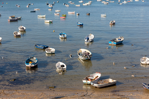 Many different type of small boats at port of Sancti Petri, Cadiz, Spain, Europe