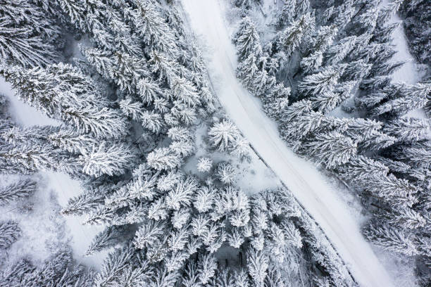 istock Aerial view on snowy road in winter forest 1077500632