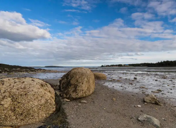 coastal landscape at low tide with large rocks under a blue sky in Fundy Bay in New Brunswick in Canada