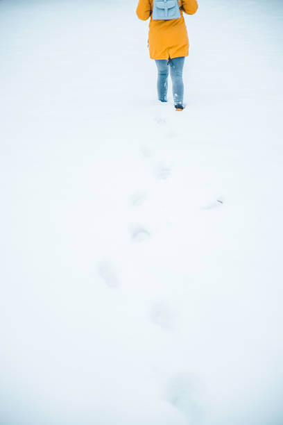 istock copy space. woman walking by snowed filed 1077505524