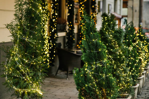 istock christmas tree in decoration lights 1077505770