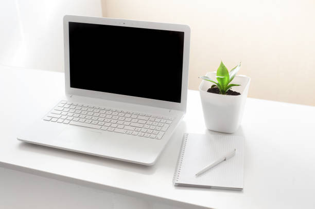 istock completely white modern workspace with laptop, notepad, plant and pen 1077510578