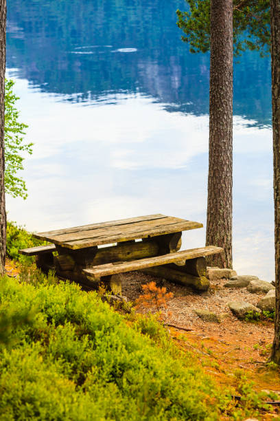istock Camp site with picnic table in norwegian park 1077515224