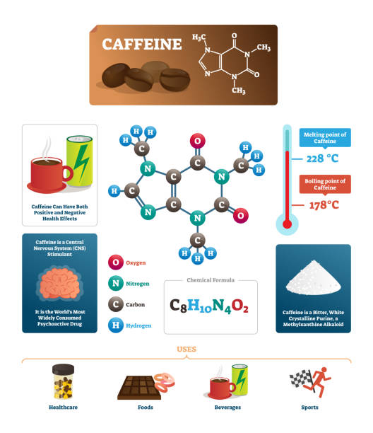 Caffeine vector illustration. Coffee ingredient from chemical science side. Caffeine vector illustration. Coffee ingredient from chemical science side. Labeled diagram with substance melting and boiling point. Nitrogen, carbon and hydrogen formula. Comprehensive infographic. caffeine molecule stock illustrations