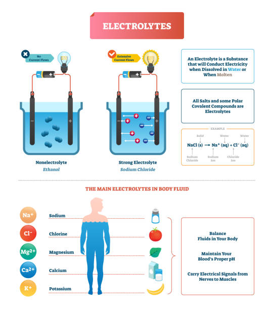 Electrolytes test vector illustration. Body fluid labeled diagram example. Electrolytes test vector illustration. Isolated Body fluid labeled diagram example. Ethanol and sodium chloride science test. Scheme with substance that conducts electricity when dissolved or molten. liquid battery stock illustrations