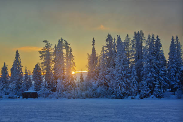 istock Winter sunset in Slovakia, sunrays through old fir trees 1077522526