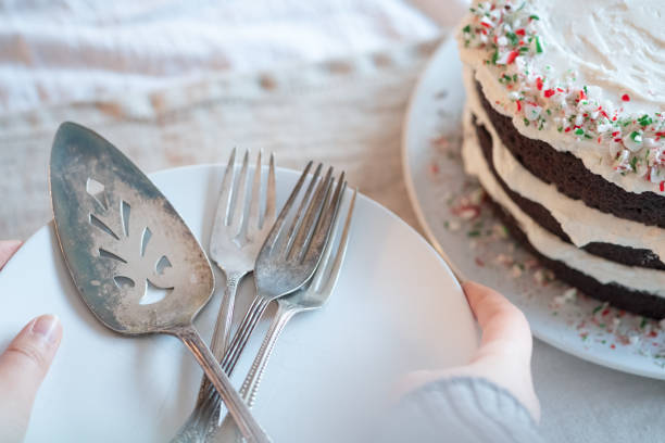 POV - Vegan chocolate cake decorated with vanilla icing, chocolate trees, and crushed candy cane.  Vancouver, British Columbia, Canada.