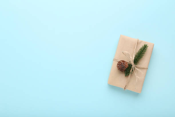 istock Gift box with fir tree branch and cone on blue background 1077549876