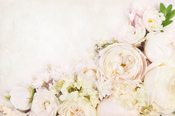 istock Rose and blooming flowers festive background 1077551564