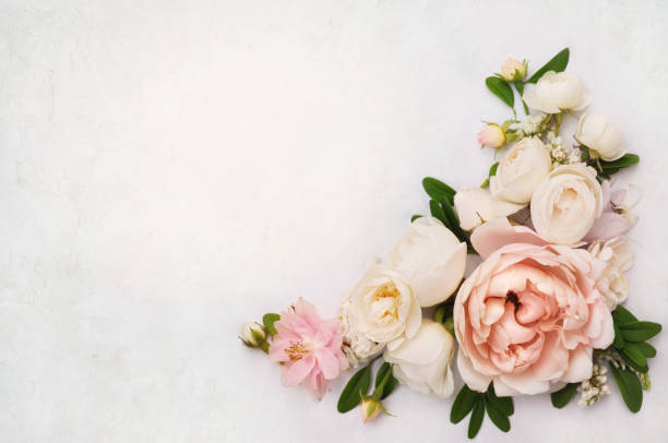 istock Rose and blooming flowers festive background 1077553132