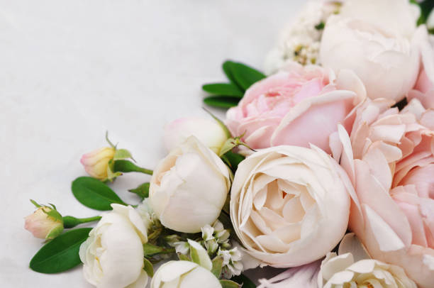 istock Rose and blooming flowers festive background 1077553254