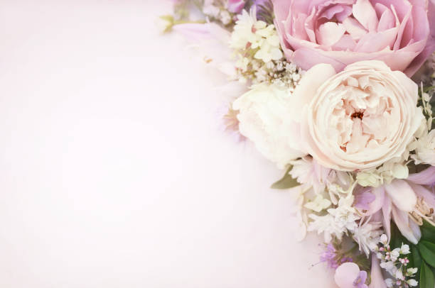 Rose and blooming flowers festive background