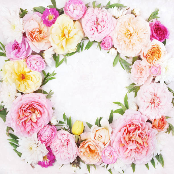 istock Rose and blooming flowers festive background 1077555178