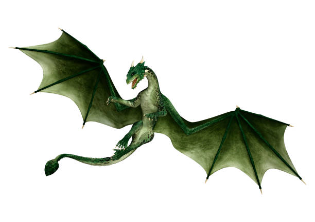 3D illustration green fantasy dragon on white 3D rendering of a green fantasy dragon isolated on white background dragon stock pictures, royalty-free photos & images