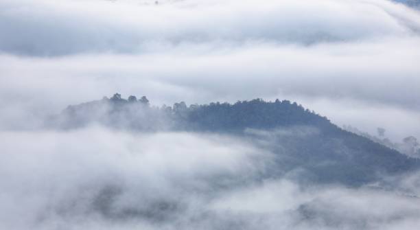 istock Morning mist on top of mountain in deep forest and Picture blurred pattern. 1077559706