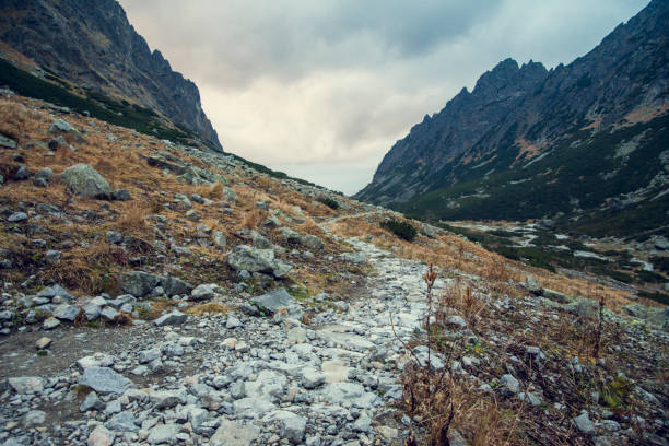 Trail to the mountain peak