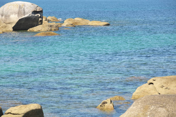 istock The emerging head or the Breton rock 1077561660