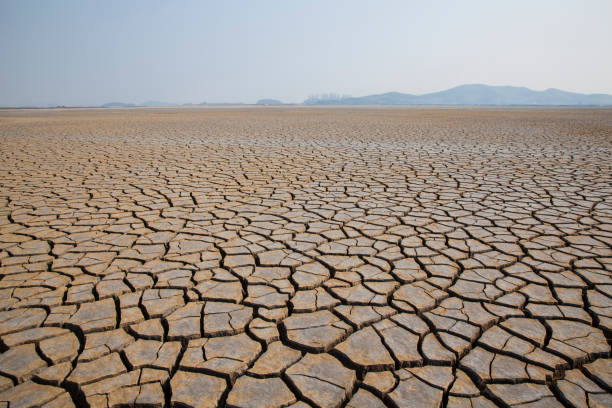 istock Dried and cracked land 1077574582