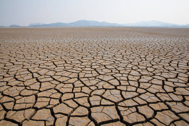 istock Dried and cracked land 1077574612