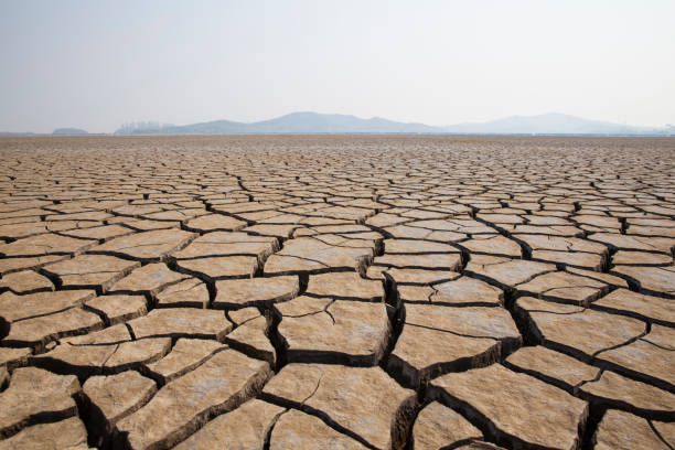 건조 하 고 갈라진 땅 - drought landscape global warming environment 뉴스 사진 이미지