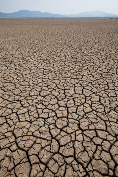 istock Dried and cracked land 1077574678