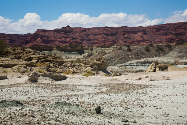 istock Geological formations in Ischigualasto 1077577136