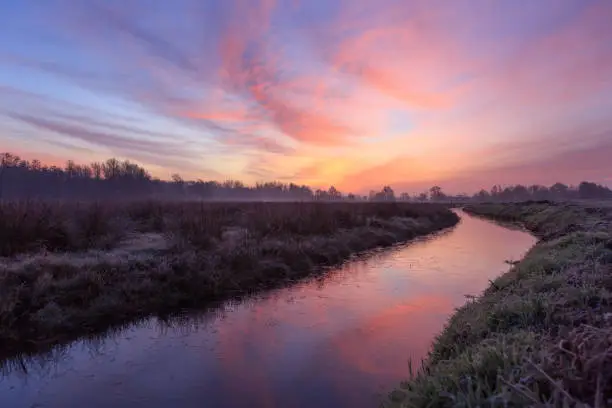 Tranquil, pink dawn at a ditch in the Dutch countryside. Groningen, Holland.
