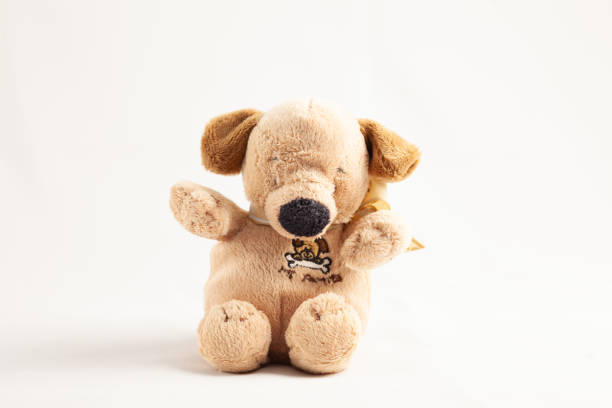 istock plush children toy isolated on white background 1077580438