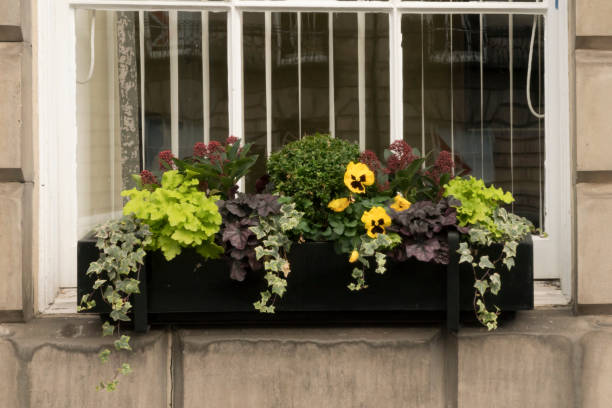 istock Decoration in window ledges 1077581058