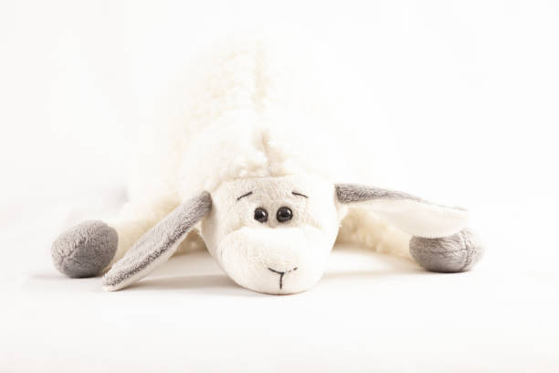 istock plush children toy isolated on white background 1077581980