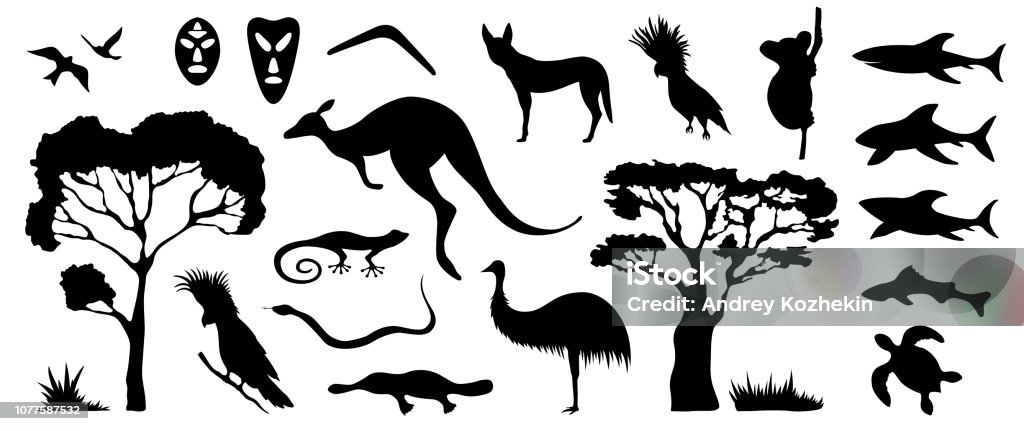 Set Of Australian Animals And Birds Silhouettes The Nature Of Australia  Stock Illustration - Download Image Now - iStock