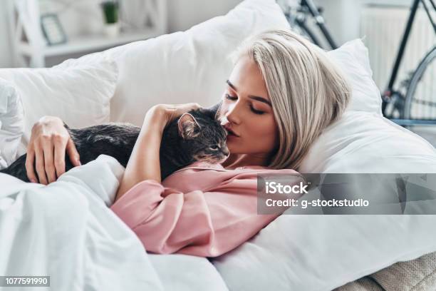 Favorite Pet Stock Photo - Download Image Now - Domestic Cat, Women, One Woman Only
